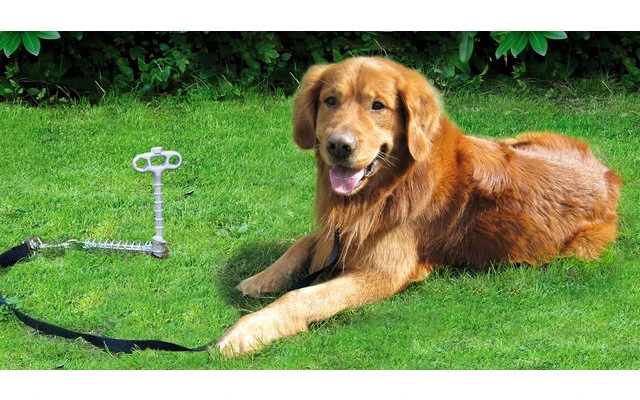 Peggy Peg Anleinehalterung PetPeg für Tiere Peggy Peg Anleinehalterung PetPeg Für Tiere -Zeltladen 230386 2380588