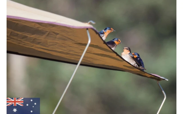 Gordigear Dachzelt Plus für 4 Personen mit Staufläche 180 x 320 cm grün Gordigear Dachzelt Plus Für 4 Personen Mit Staufläche 180 X 320 Cm Grün -Zeltladen 585547 3986315