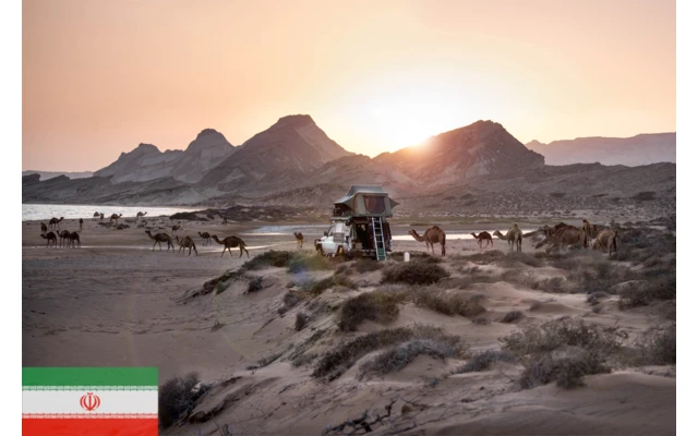 Gordigear Dachzelt Plus für 4 Personen mit Staufläche 180 x 320 cm grün Gordigear Dachzelt Plus Für 4 Personen Mit Staufläche 180 X 320 Cm Grün -Zeltladen 585635 3986339